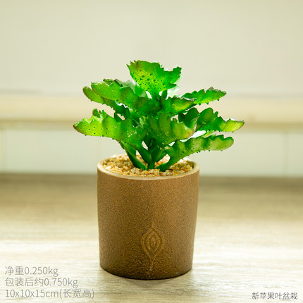 田园家居仿真植物盆栽小摆设创意清新客厅房间橱窗桌面装饰品摆件