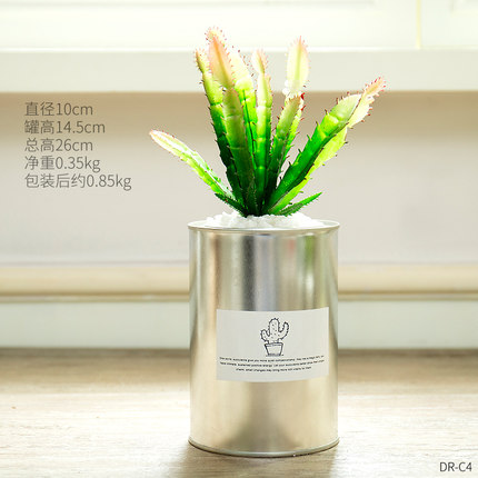创意个性家居仿真植物小盆栽假多肉客厅餐桌书房店铺装饰品摆件