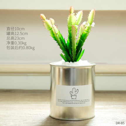 创意个性家居仿真植物小盆栽假多肉客厅餐桌书房店铺装饰品摆件