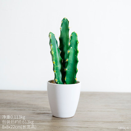 创意小清新可爱迷你植物盆栽 电脑桌室内办公桌面多肉装饰品摆件