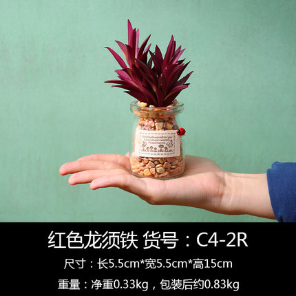 创意仿真盆栽植物小摆件室内客厅绿植玻璃盆景摆设置物架窗台装饰