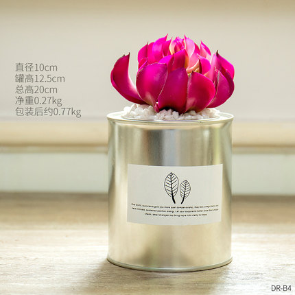 创意个性家居仿真植物小盆栽假多肉客厅餐桌书房店铺装饰品摆件