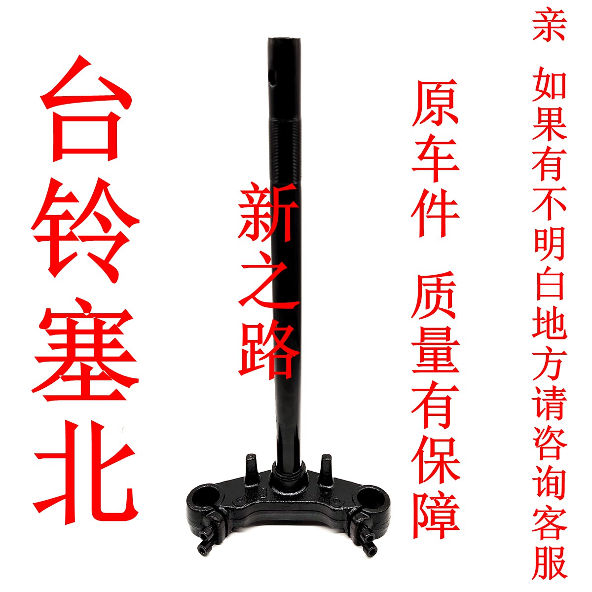 原厂方向柱塞北电摩电动车图片