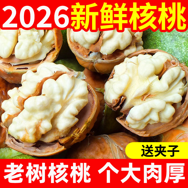 2026新鲜核桃四川去青皮原味新货生核桃薄皮核桃仁湿核桃5斤黑桃