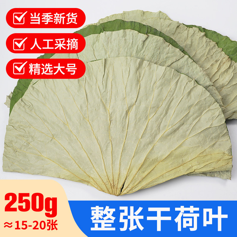 荷叶整张糯米鸡专用叫花鸡荷叶饭木桶饭新鲜圆形大莲藕叶干荷叶片