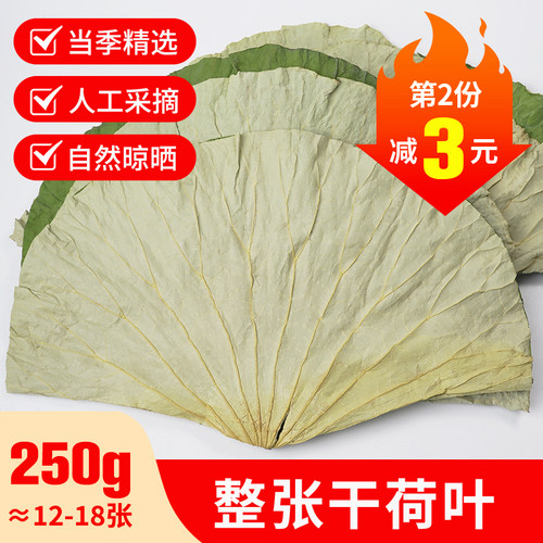 荷叶整张250g新鲜包黄泥荷叶糯米鸡叫花鸡正品食用泡水干荷叶