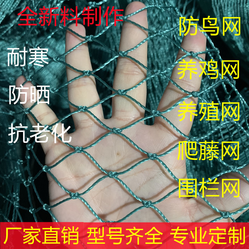 鱼塘防鸟网养鸡网养殖网果树果园网樱桃防鸟用网尼龙网大棚保护网