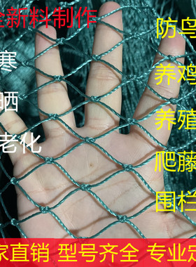 鱼塘防鸟网养鸡网养殖网果树果园网樱桃防鸟用网尼龙网大棚保护网