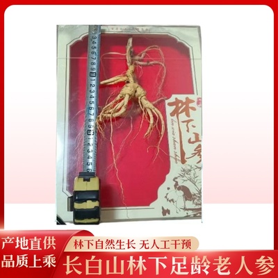 高龄长白山林下参籽货野山参残参大参生晒足干移山参