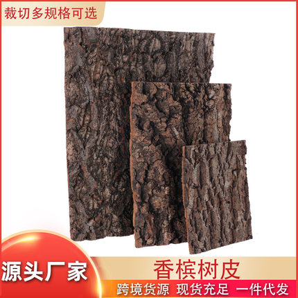 天然香槟树皮 鱼缸造景雨林缸背景装饰树皮 爬宠箱背景板软木