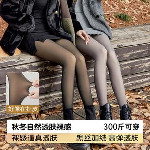 袜加绒春秋冬空姐灰一体透肤裤 黑丝假透肉光腿神器大码 黑透肤连裤