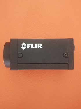 灰点工业相机GS3-PGE-91S6M-C原装910万像素网口GS3-PGE-91S6C-C