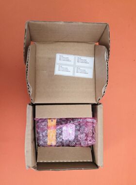 DM262X康耐视COGNEX读码器DMR-262X-1120 DM262SX DM262SX-Q相机