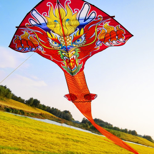 大威天龙风筝大人专用微风易飞