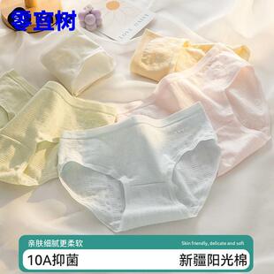 運動純棉內褲 三 全棉女春夏中腰無痕不夾臀10A抗菌襠透氣少女短褲