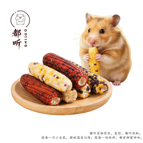 Doting仓鼠零食磨牙棒彩色小玉米金丝熊磨牙神器造景用品解闷玩具