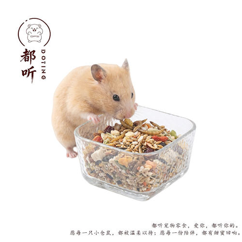 Douting仓鼠高透玻璃防抓花食盆