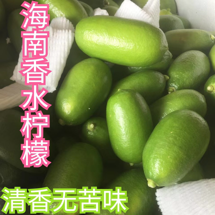 新鲜无籽香水柠檬海南香水柠檬奶茶店饮品店专用