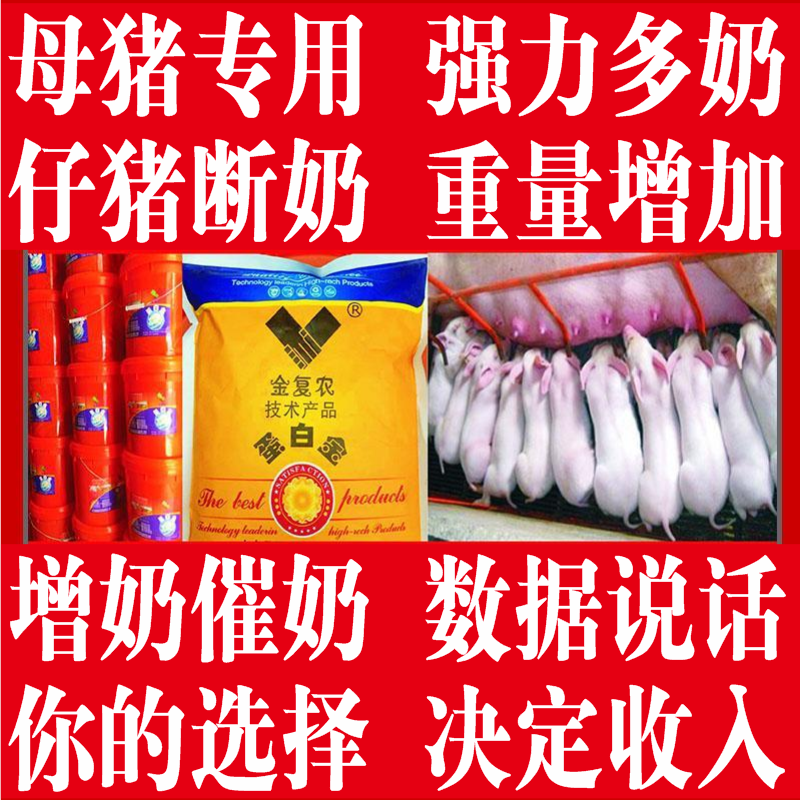 提高母猪产仔成活率催奶增奶