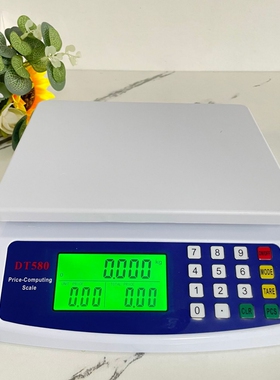 厂家供应DT580厨房秤高精度电子秤迷你计价秤家用烘焙台秤咖啡秤