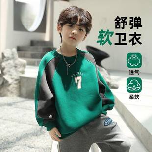 韩式男童加绒卫衣春秋儿童洋气2026新款男孩中大童帅气打底上衣潮