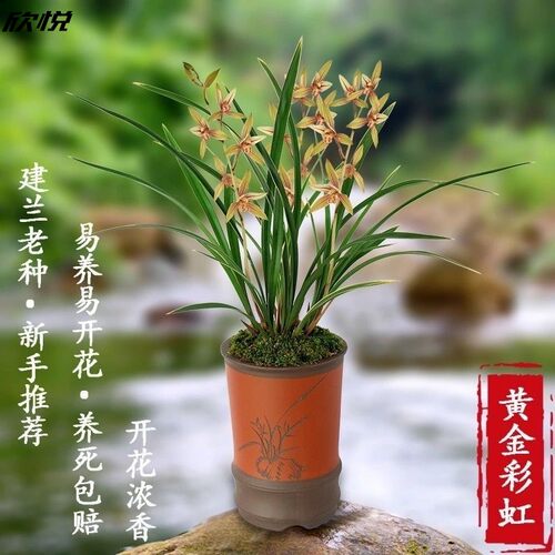 全场一口价性价比超高欢迎选购