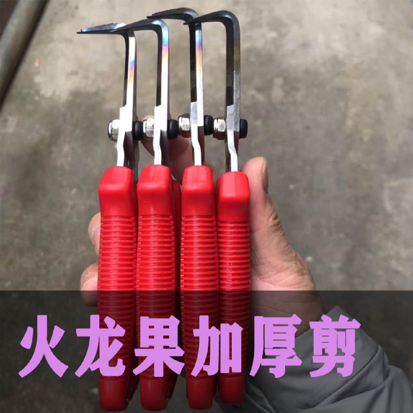 加厚长款火龙果剪刀专用炎芽剪修芽修枝剪果剪子勾剪弯剪剪芽刺