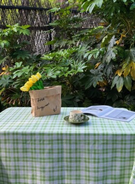 LUMOS HOME ins风小清新简约绿色格子餐桌书桌柜子茶几防尘桌布
