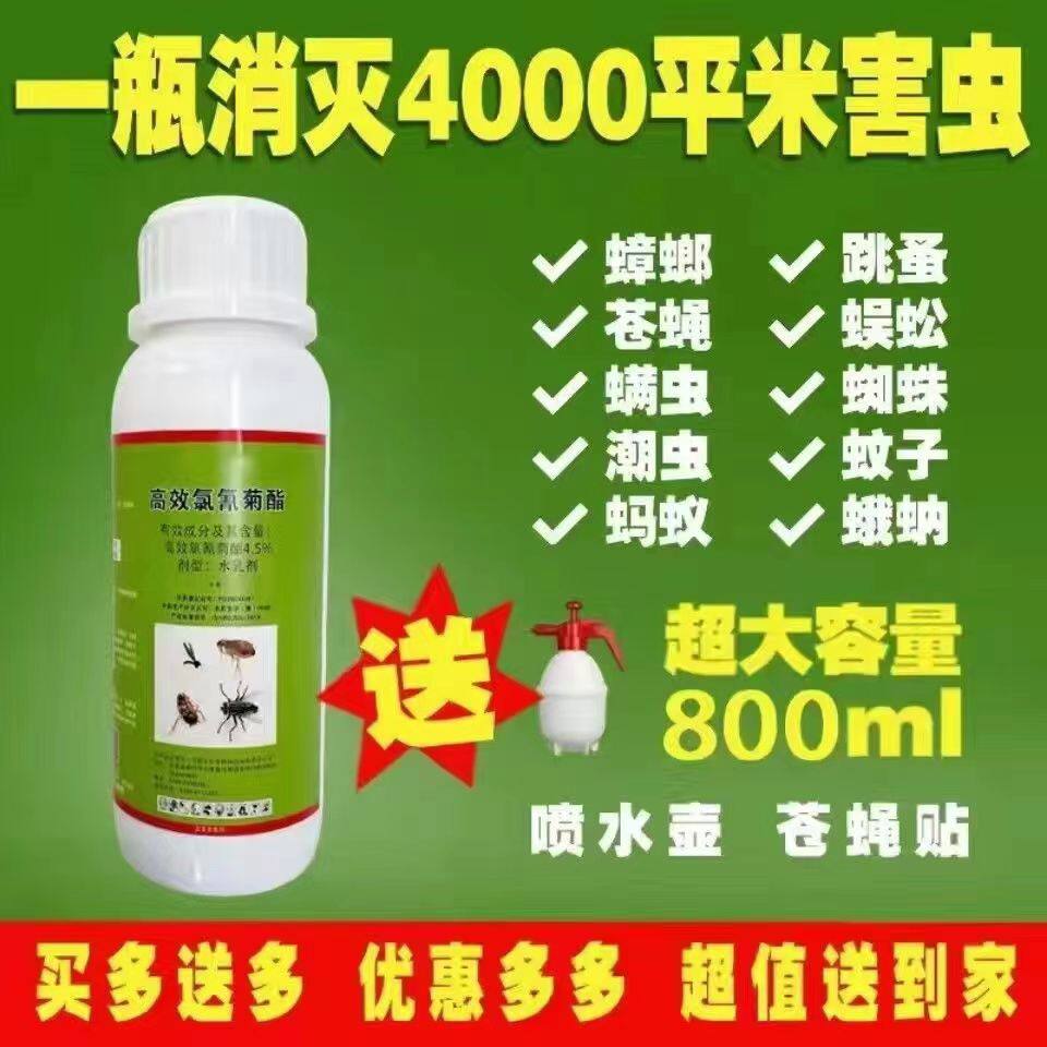 工厂灭蚊子专用药小区大面积杀虫剂除蜱虫养殖场消杀跳蚤蟑螂菊酯