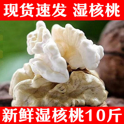 新鲜湿核桃黑桃去青皮老树核桃薄皮孕妇嫩生核桃2025年新货5斤