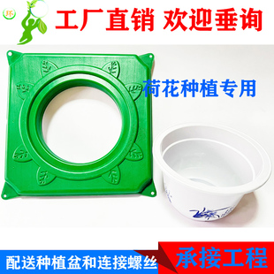 绿源新款荷花种植浮岛浮床水生植物种植浮盘净化水质五水共治景观