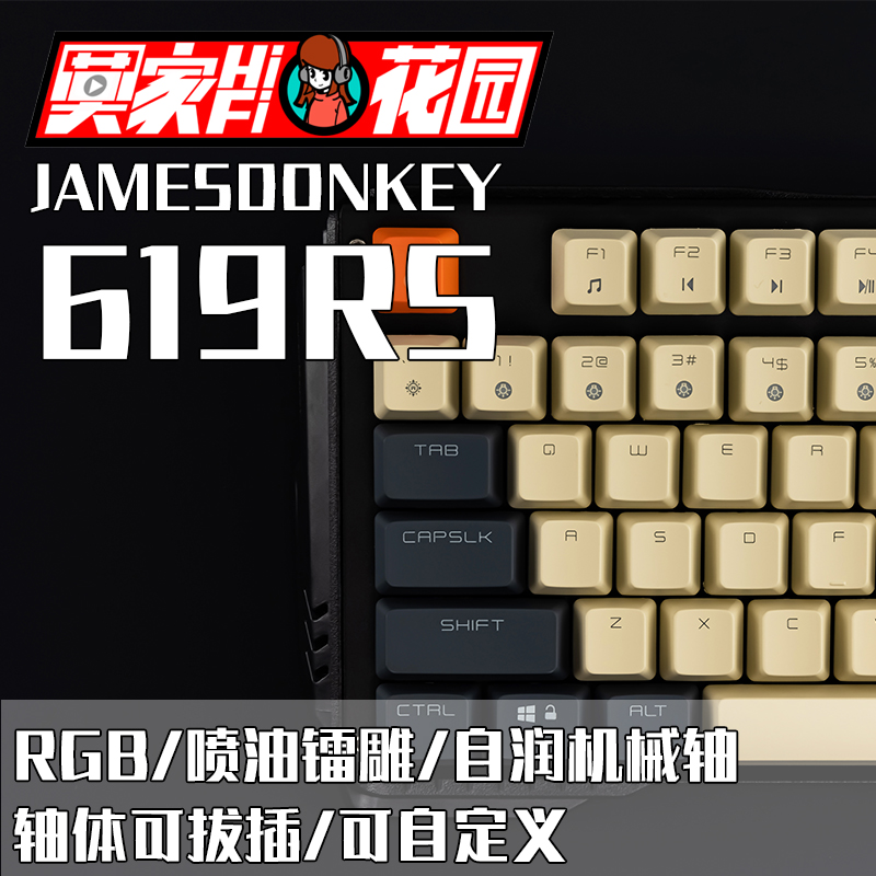 贱驴619rs机械佳达隆全新cap茶轴87自润轴热插拔rgb键盘光轴电竞
