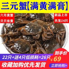 满黄六月黄小螃蟹鲜活大闸蟹二元蟹毛蟹稻田河蟹一元蟹0.3-1.2两