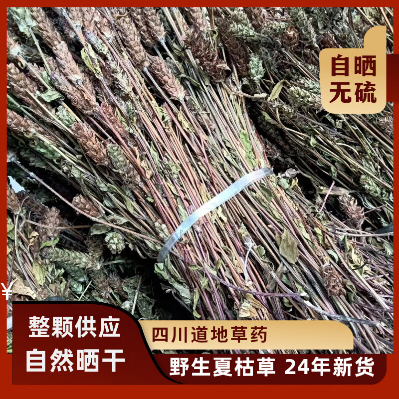 四川新鲜自然晒干野生夏枯草中药材夏姑草广东凉茶农民整颗现摘
