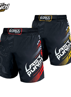 Last punch/夏季mma综合搏击短裤格斗训练运动休闲涤纶透气速干款