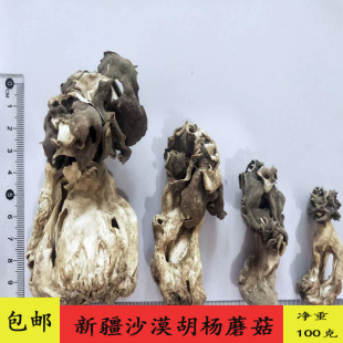 新疆巴楚蘑菇胡杨蘑菇梧桐菇邹柄羊肚菌100克*袋