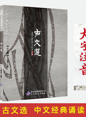 正版古文选 大字注音版含滕王阁序劝学出师表 说文解字离骚兰亭桃花源记岳阳楼记赤壁赋尊经阁记拼音优秀古文经典诵读书