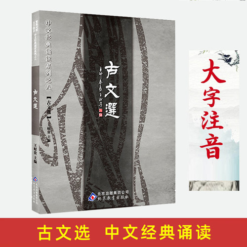 大字注音