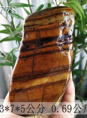 大湾石很有趣的把件一件也包邮