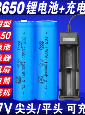 行火18650锂电池可充电USB充电器强光手电筒小风扇电池3.7V大容量