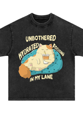 夏天的猫 趣味美式vintage水洗做旧纯棉宽松短袖t恤男女卫衣tee