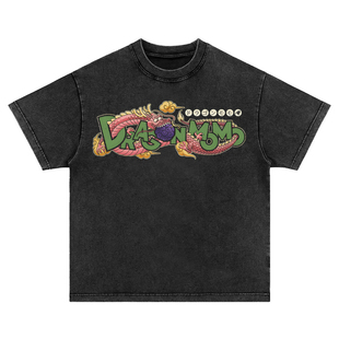 恶魔果实龙珠 美式T恤复古vintage男女水洗做旧长短袖上衣纯棉tee