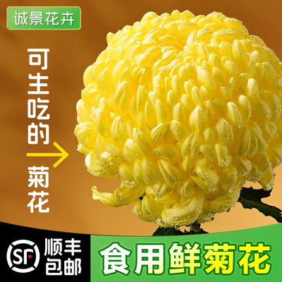 小榄新鲜可食用菊花冰芯糖菊糖芯甜菊花蔬菜生吃凉拌沙拉酒店食材
