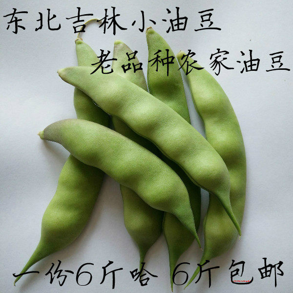 油豆角东北油豆角 新鲜蔬菜 面豆角开锅烂好吃 现货 包邮