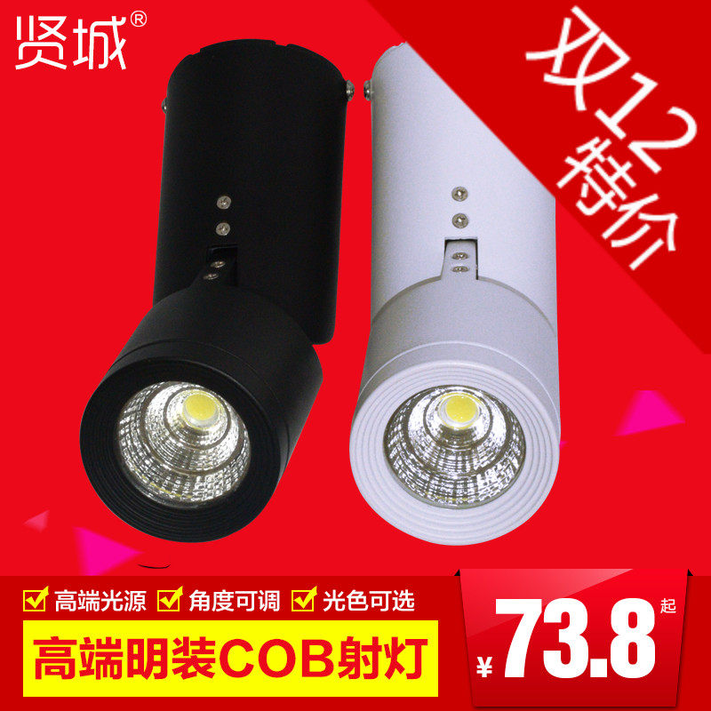 贤城吸顶式咖啡厅可调角度射灯