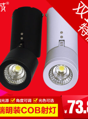 贤城吸顶式咖啡厅可调角度射灯