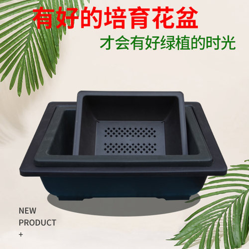 生石花树脂塑料育苗盆长方形盆景