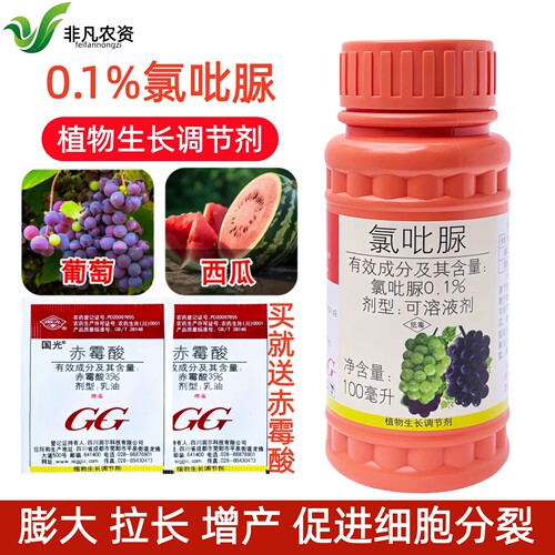 国光0.1%氯吡脲点花授粉膨果
