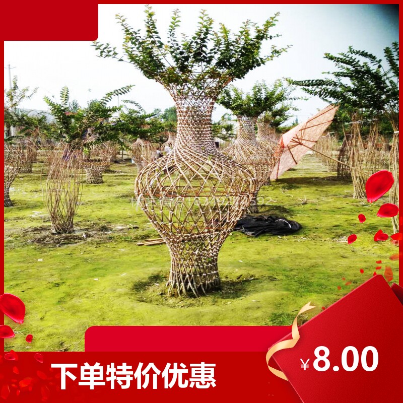 花瓶模具 骨架苗木造型编织  用于紫薇 桂花 紫薇 海棠 出售成品