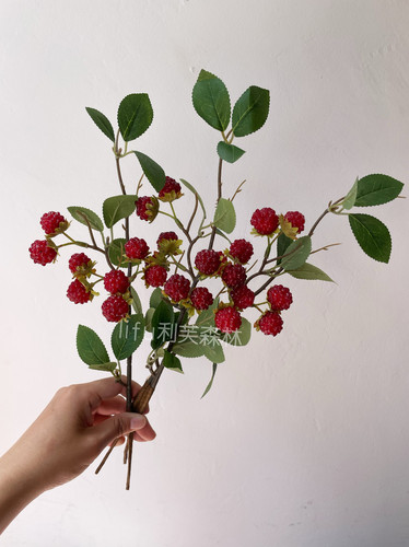 仿真植物树莓红色浆果桑葚果子假花 家居装饰摄影道具 婚庆布置
